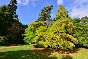 A footpath in an English country garden in autumn