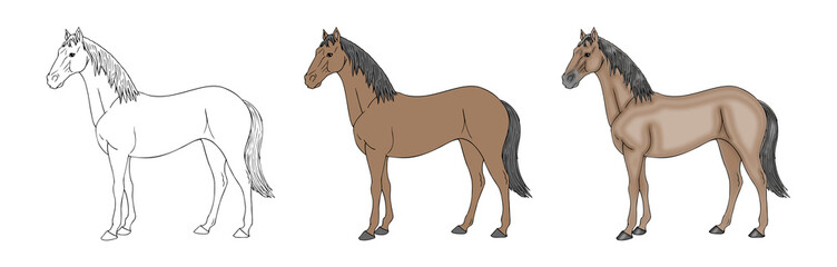 Obraz na płótnie Canvas Horse illustrated in three versions