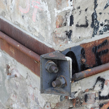 Maueranker an einem verfallenen Haus