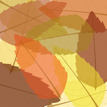 Atumn leaves background
