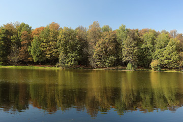 Fototapeta na wymiar summer landscape in the park