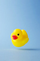 Yellow rubber duck