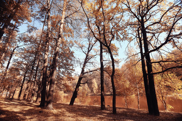 landscape background in sunny autumn park