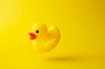 Yellow rubber duck
