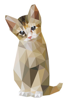 Brown Cat Sitting Low Polygon