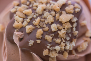 Ice cream chocolate sprinkle nuts/ close up.