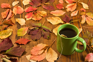 autumn leaves and tea cup over wood background 