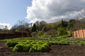 Large vegetable and plant garden