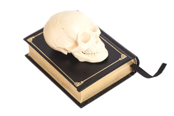 Fototapeta premium Human Scull On Book isolated on white