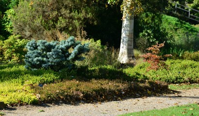 An English country garden in Autumn,/Fall