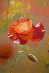Oil  painting red poppy  flowers.  Spring  floral nature background