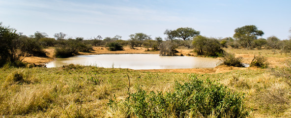 Paesaggio Kruger park - Sudafrica
