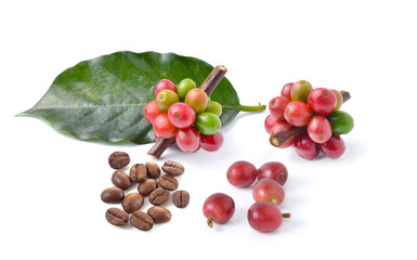 coffee beans on white background.