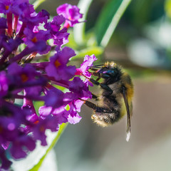 Starting At The Bottom