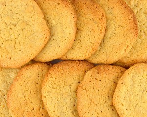 Close up of two rows of homemade peanut butter cookies, from above.