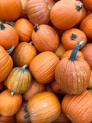 Kürbisse über Kürbisse am Kürbisstand
