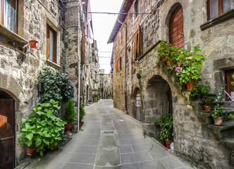 Obraz premium Piękny widok na stare tradycyjne domy i idylliczną uliczkę w historycznym mieście Vitorchiano, Viterbo, Lazio, Włochy