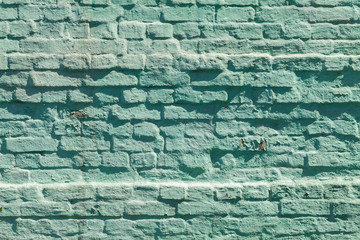 Brick wall
Vintage street brick background. Weathered texture of stainted old brik wall. Grunge rusty blocks. Urban wallpaper. Nature artistic texture. 