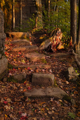 hiking trail in the fall season