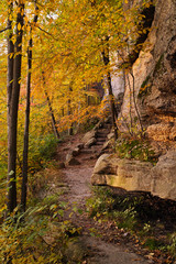 hiking trail in the fall season