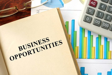Words  written business opportunities on a book. Business concept.