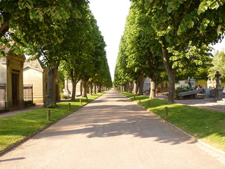 allée de cimetierre, Caen