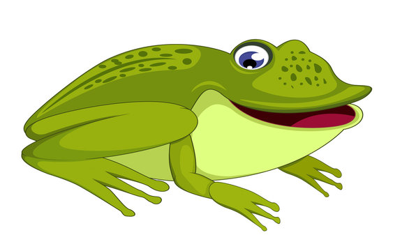 unny frog cartoon