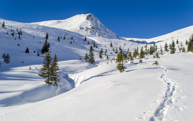 Fototapeta na wymiar Footpath in the snow to the mountain. Trees. Clear sky, sunny. Winter. Ukraine