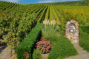 Bildstock im Weinberg