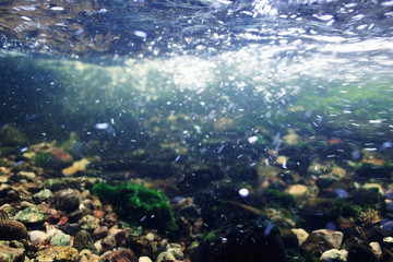 Underwater in a mountain river