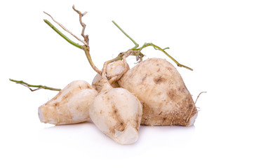 Jicamas on white background