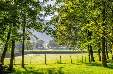 Backlit rural English scene