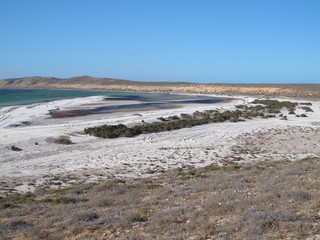 eagle bluff, shark bay, western australia