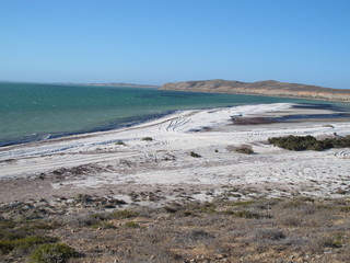 eagle bluff, shark bay, western australia