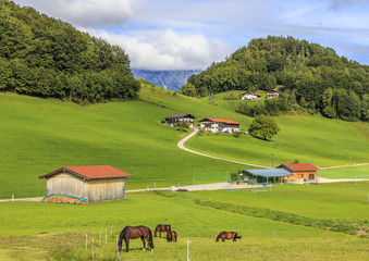 Pastorale. Peaceful, serene life of Austrian hamlet, horse grazing on green meadows, charming, neat houses, winding paths, forests and mountains.