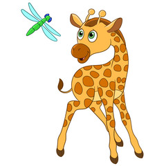 cute giraffe is happy to see dragonfly