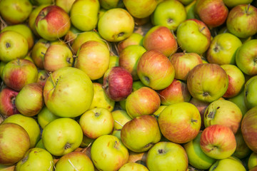 Red and yellow apples