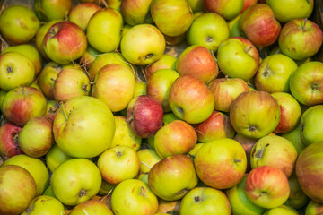 Red and yellow apples