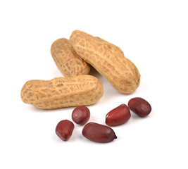 peanuts isolated on white background