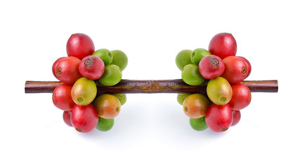 coffee beans on white background.