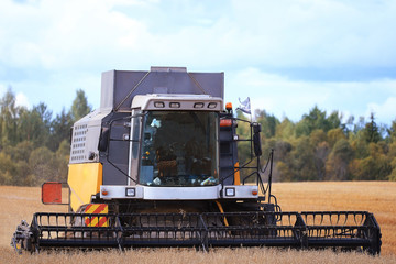 Fototapeta premium tractor in a field to harvest