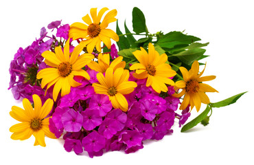 Yellow daisy flowers and purple phlox
