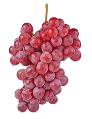 red grapes isolated on white background