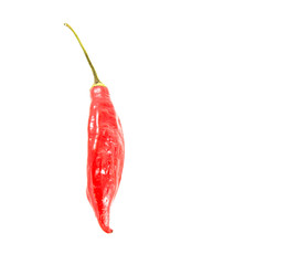 Red pepper on white background