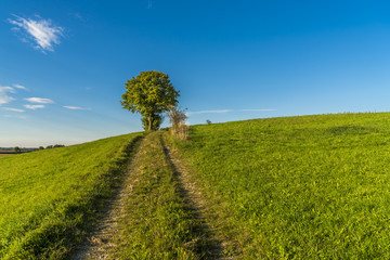 Fototapeta na wymiar Idyllische Landschaft mit Feldweg in Bayern