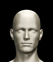 3d rendered illustration of a human head
