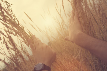 A bright new window.