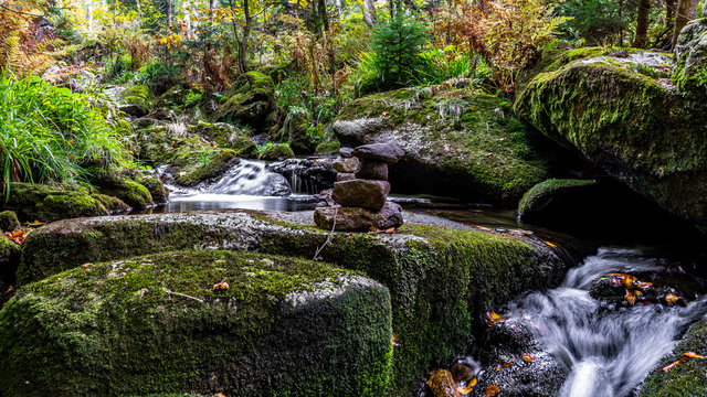 Bayerischer Wald, Bayern, Deutschland