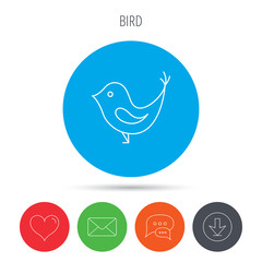 Bird with beak icon. Social media concept sign.