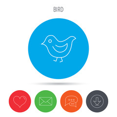 Bird icon. Chick with beak sign.